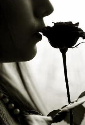 A beautiful lie